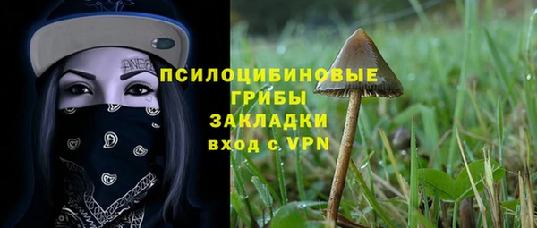 СК Липки