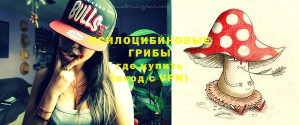 стафф Лихославль